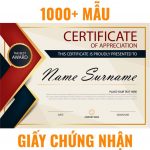 1000+ Giấy chứng nhận, bằng khen